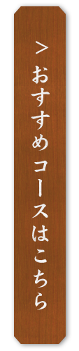 おすすめコースはこちら